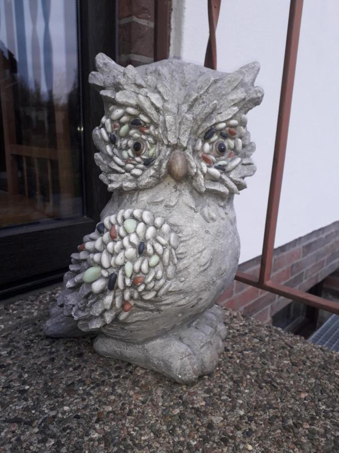 Heidehaus Hodenhagen Daire Dış mekan fotoğraf